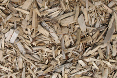 biomass boilers Fangfoss